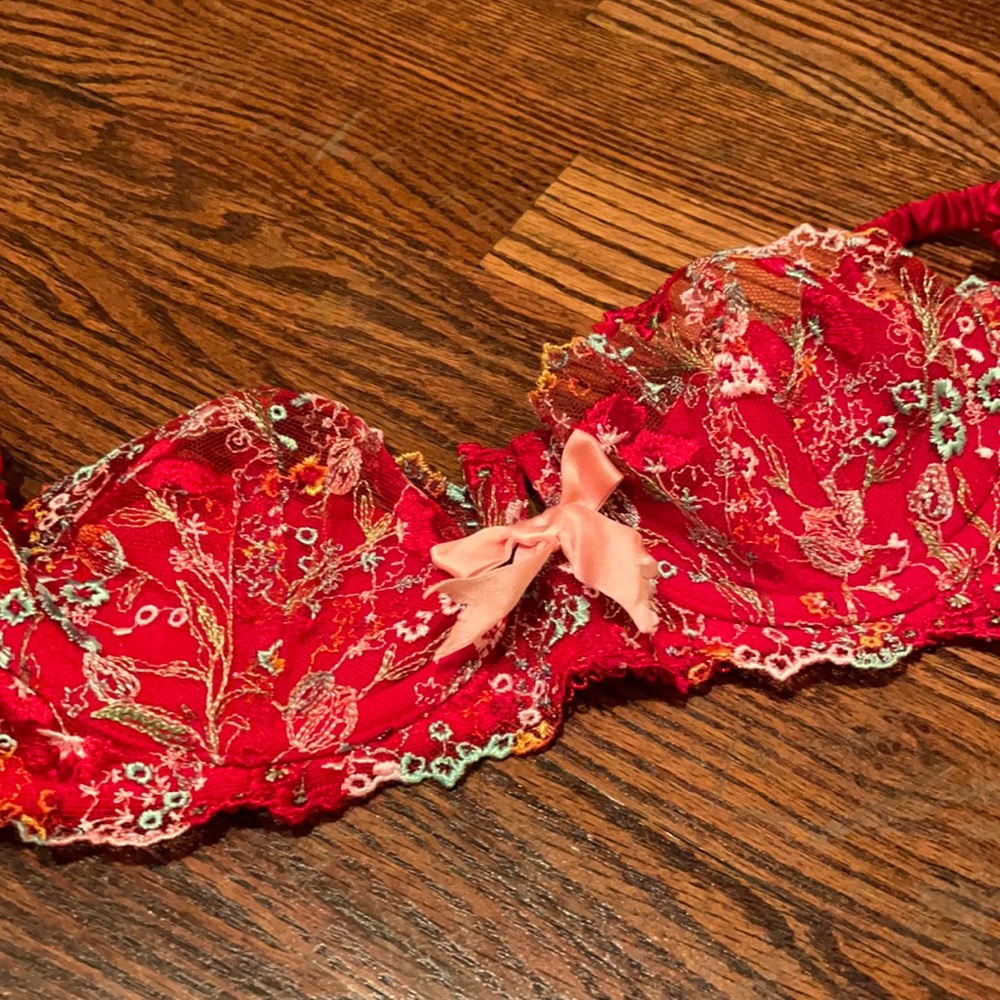Agent Provocateur red embroidered lace bra
